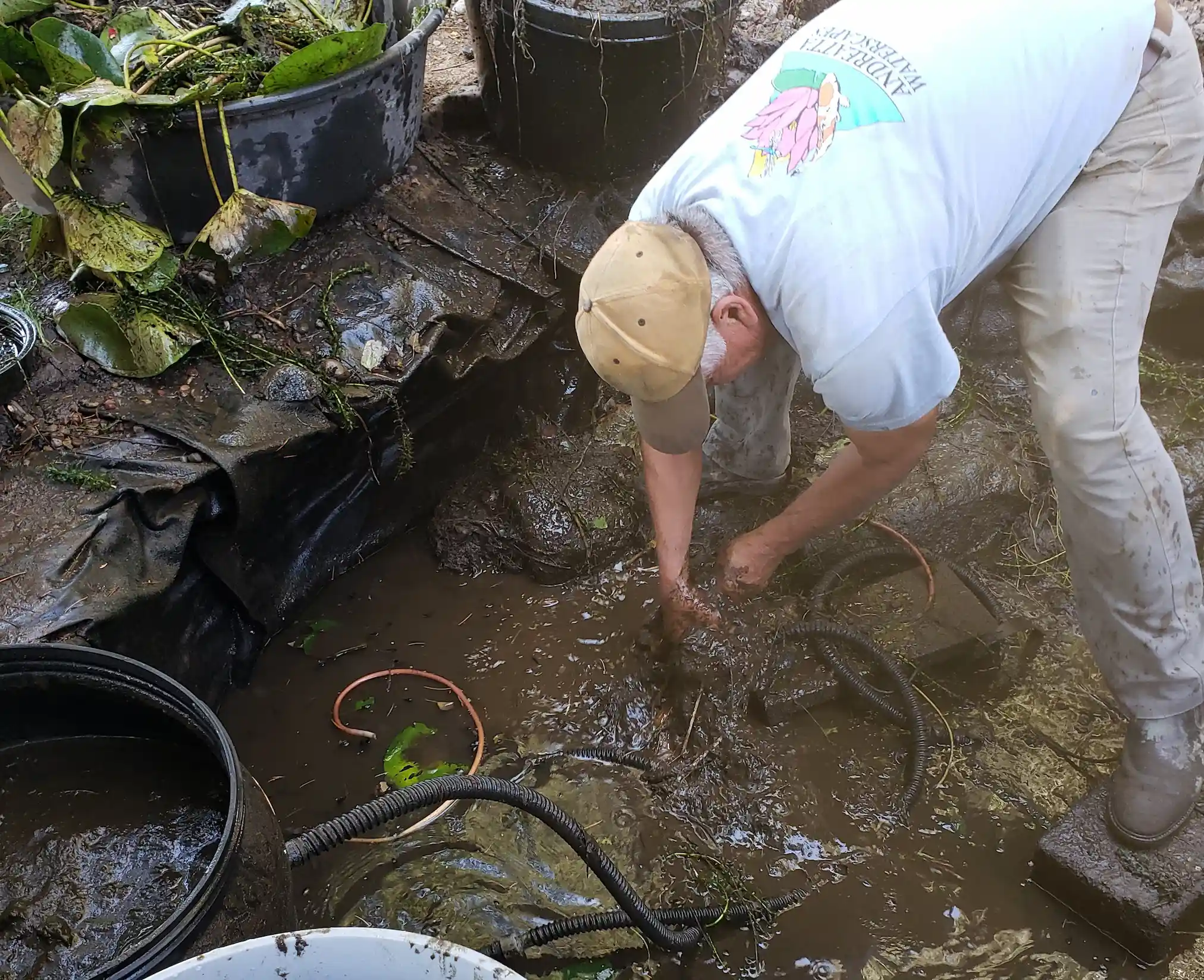 Pond & Water Feature Maintenance