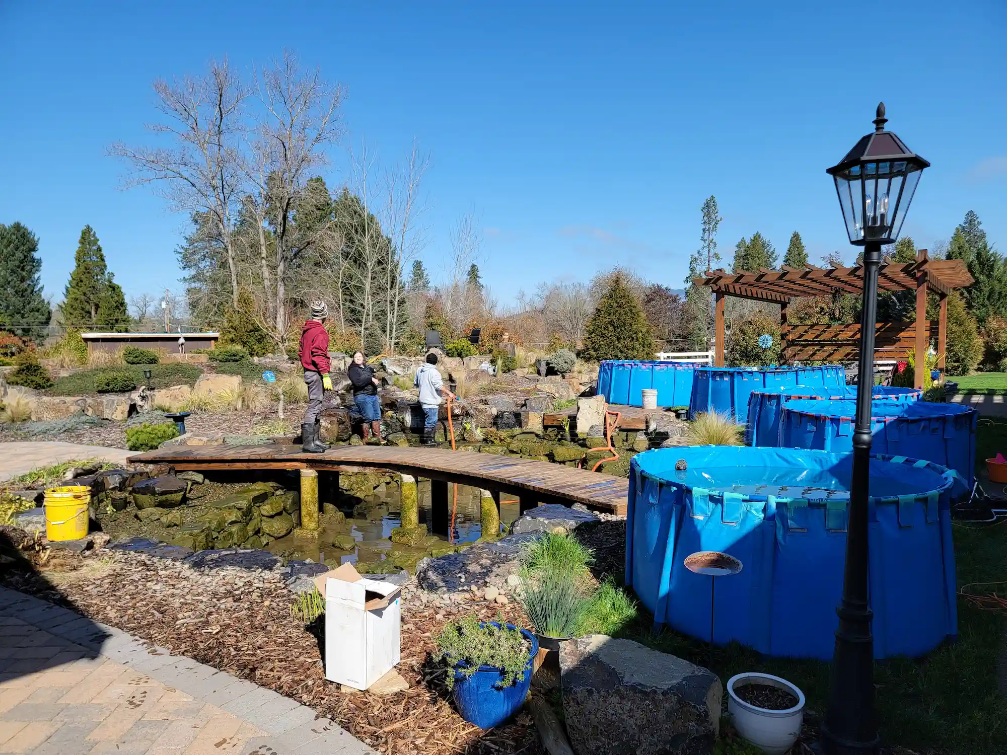 Pond & Water Feature Maintenance