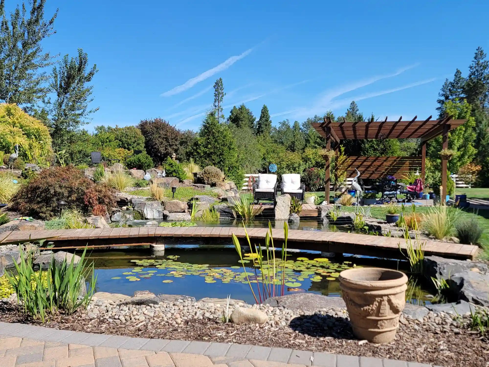Algae Control & Water Treatments