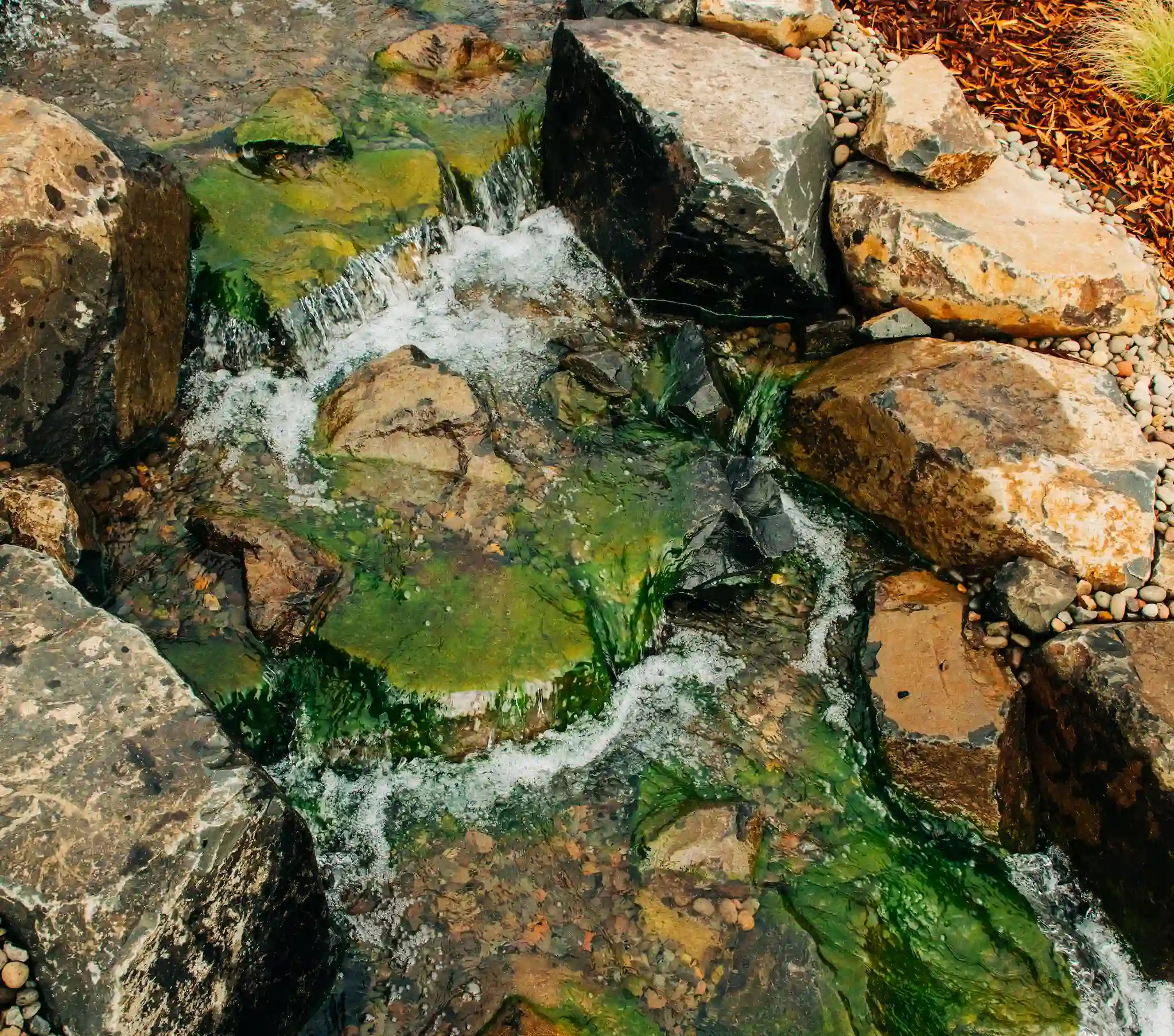 Algae Control & Water Treatments