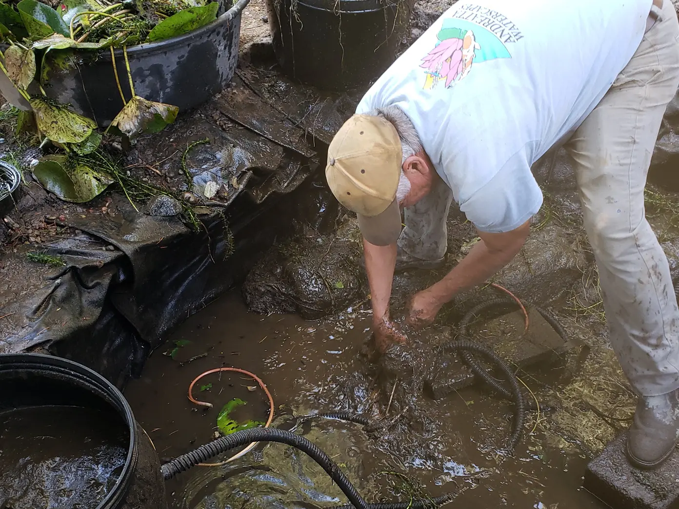Pond & Water Feature Maintenance